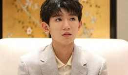 娱乐吃瓜酱王源在线观看,娱乐吃瓜酱带你领略明星魅力