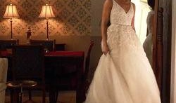 娱乐吃瓜酱婚纱