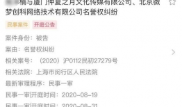 起诉娱乐吃瓜君的案例,网络言论边界与法律责任的较量