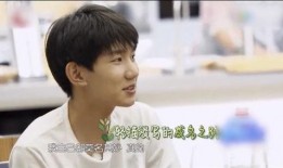 娱乐吃瓜酱王源在线观看,娱乐吃瓜酱带你领略明星魅力