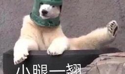 吃瓜表情包沙雕,笑出腹肌的欢乐源泉