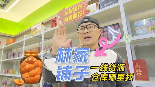 林家铺子,传统与现代交织的民间风情画卷