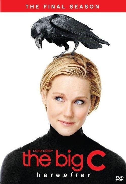 如果还有明天 第四季,命运交织，未来可期