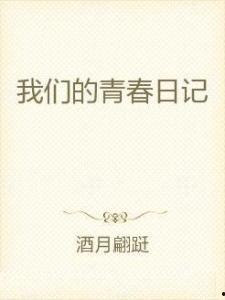 我们的对立日记,揭秘内心冲突与成长之旅